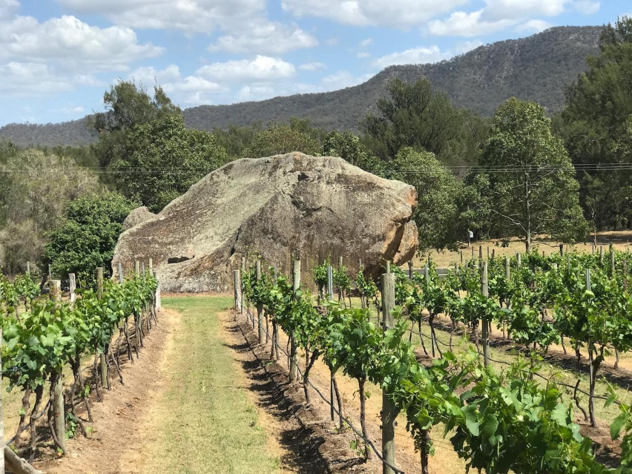 Winmark Wines Villa Broke Exterior photo